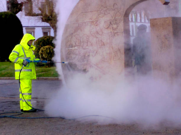 Best Power Washing Near Me  in Halls, TN